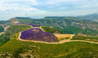 山东博士落户有啥待遇 山东村庄出16名博士